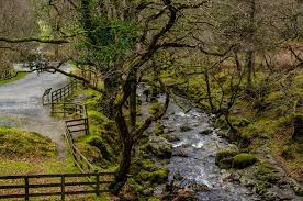 Image result for ecclestone looprek