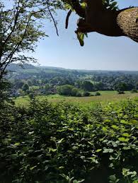 Image result for Guildford Orienteers