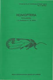 Attēlu rezultāti vaicājumam “Trioza dispar nymph”