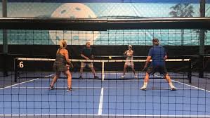 Image result for Frys Badminton Club