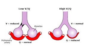 Image result for  v    q