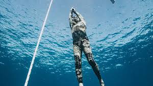 Image result for Blue Water Freediving School