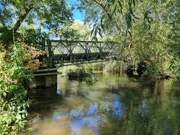 Image result for Loddon Vale Bridge Club