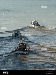 Image result for Bristol Channel Sea Fishing