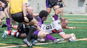 Image result for Rochdale Hornets