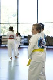 Image result for Arlington Martial Arts Academy