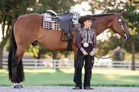 Image result for Carman Stables