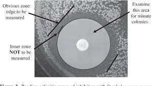 Image result for Reading Bsac