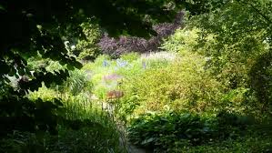 Image result for Mien Ruys