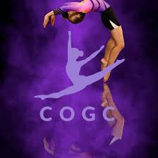 Image result for Cardiff Olympic Gymnastics Club