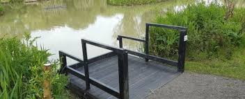 Image result for Angling For The Disabled