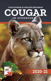Image result for Ut Cougars