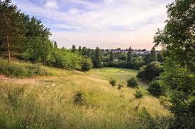Image result for Knowle Golf Club Limited