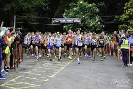 Image result for Middlesbrough A C (Mandale)