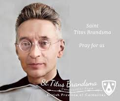 Image result for Saint Saint Titus