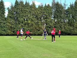 Image result for Redoubtables Womens Cricket Club