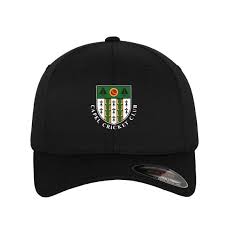 Image result for Capel Cricket Club