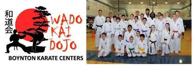 Image result for Karate Wado Kai