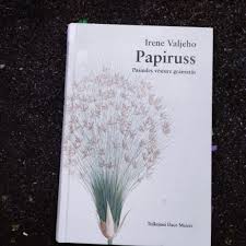 Image result for grāmata, kuru nenopirka dienasgramata