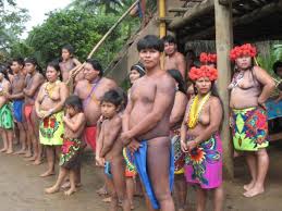 Image result for tribe