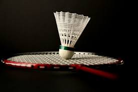 Image result for Racqueteers Junior Badminton Club