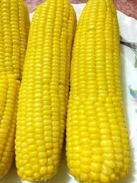 Image result for Mais