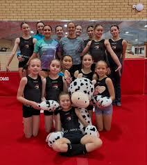 Image result for Weaverham Gymnastics Club
