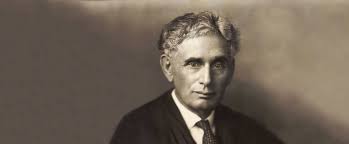 Image result for Ildblomkarse