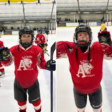 Image result for Swindon Panthers