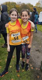 Image result for Crook and District Athletic Club