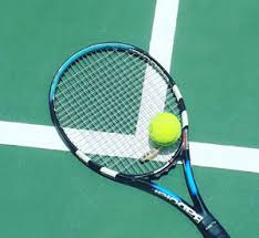 Image result for Greta Junior Badminton Club