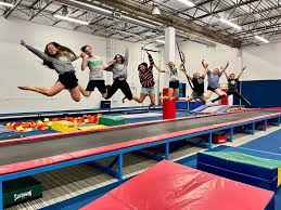 Image result for Fish trampoline and gymnastics club