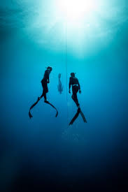 Image result for Blue Water Freediving School