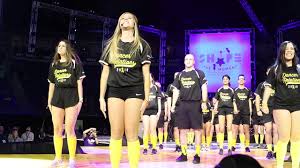 Image result for Electralites Baton Twirlers