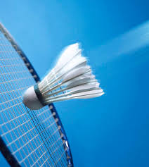 Image result for Ditton & Holtwood Badminton Club