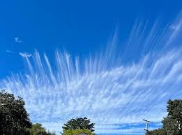 Attēlu rezultāti vaicājumam “Cirrus fibratus”