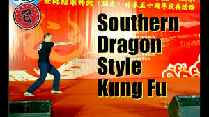 Image result for Dragon Martial Arts Association
