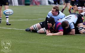 Image result for Sutton & Epsom Rugby Football Club