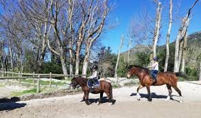 Image result for The Riding Centre