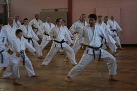 Image result for Edinburgh Karate do Shotokai