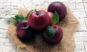 Attēlu rezultāti vaicājumam “Prunus domestica subsp. domestica fruit”