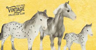 Image result for White Horse Model Club