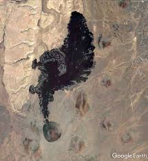 Attēlu rezultāti vaicājumam “Craterium sp.”