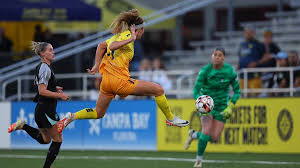 Image result for Gotham Soccer League