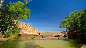 Billedresultat for kakadu n...