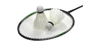 Image result for Reading Youth Junior Badminton Club
