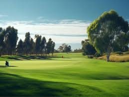 Image result for Tredegar & Rhymney Golf Club