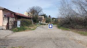 Attēlu rezultāti vaicājumam “Boudinotiana notha”