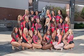 Image result for York University Gymnastics Club