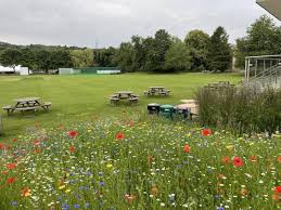Image result for Corbridge Cricket Club